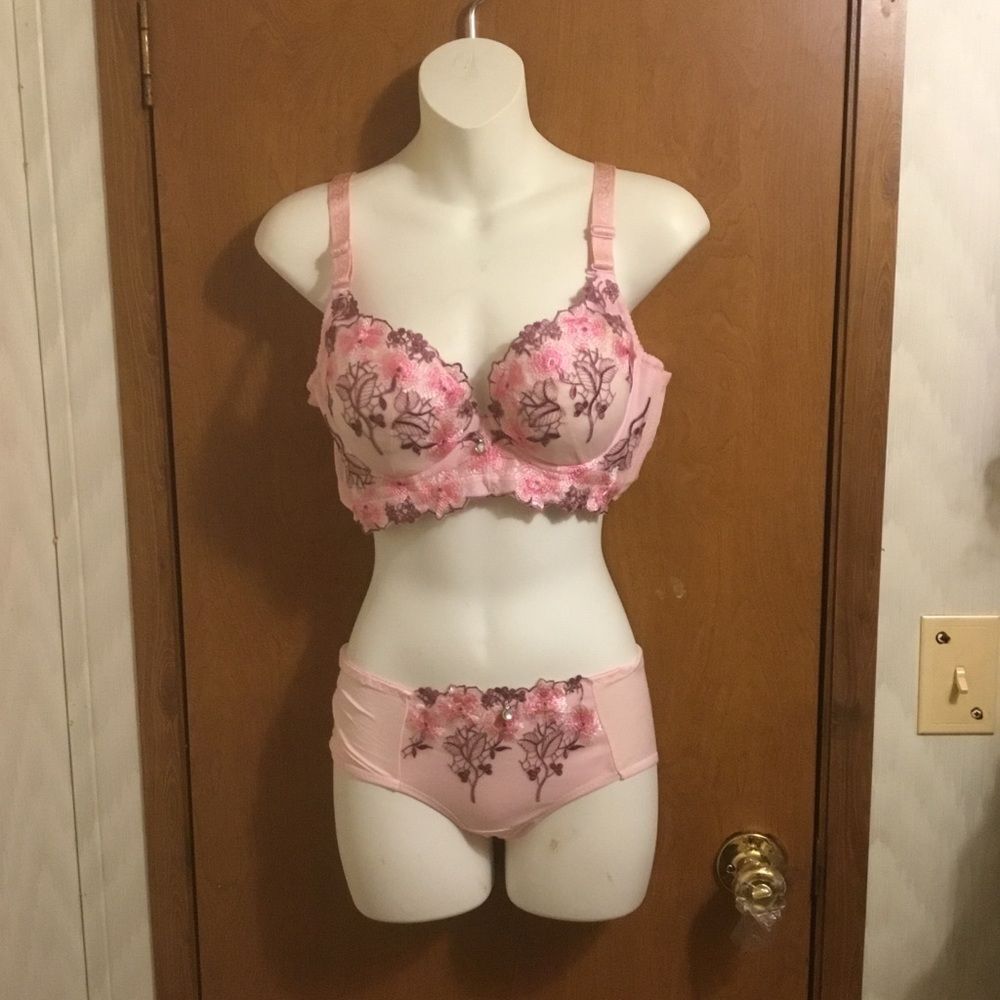Chic Pink Floral Lace Embroidered Bra Set 38 C